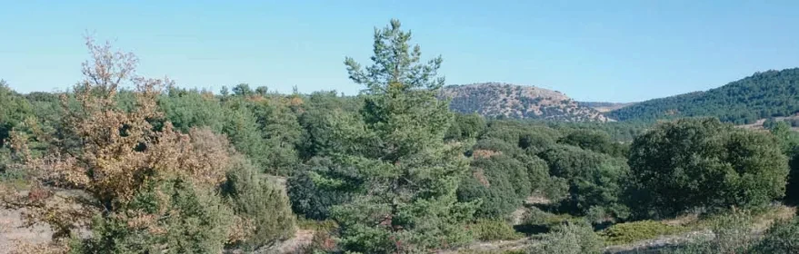 Montes de Picaza