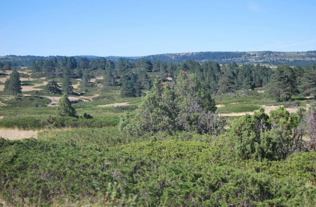 Montes de Picaza