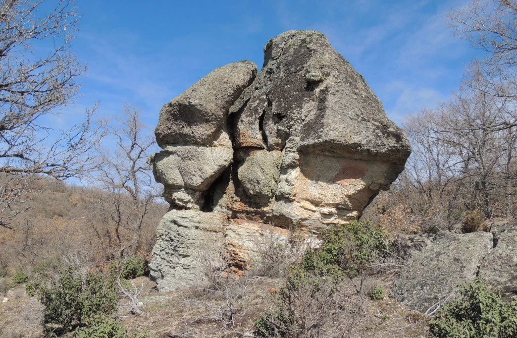 Bosque fósil de la Sierra de Aragoncillo