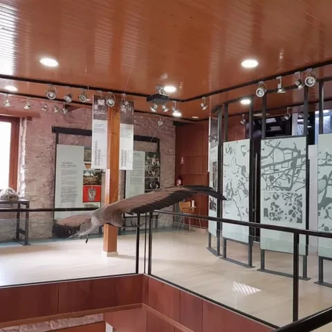 Museo de la Ganadería Tradicional de Checa