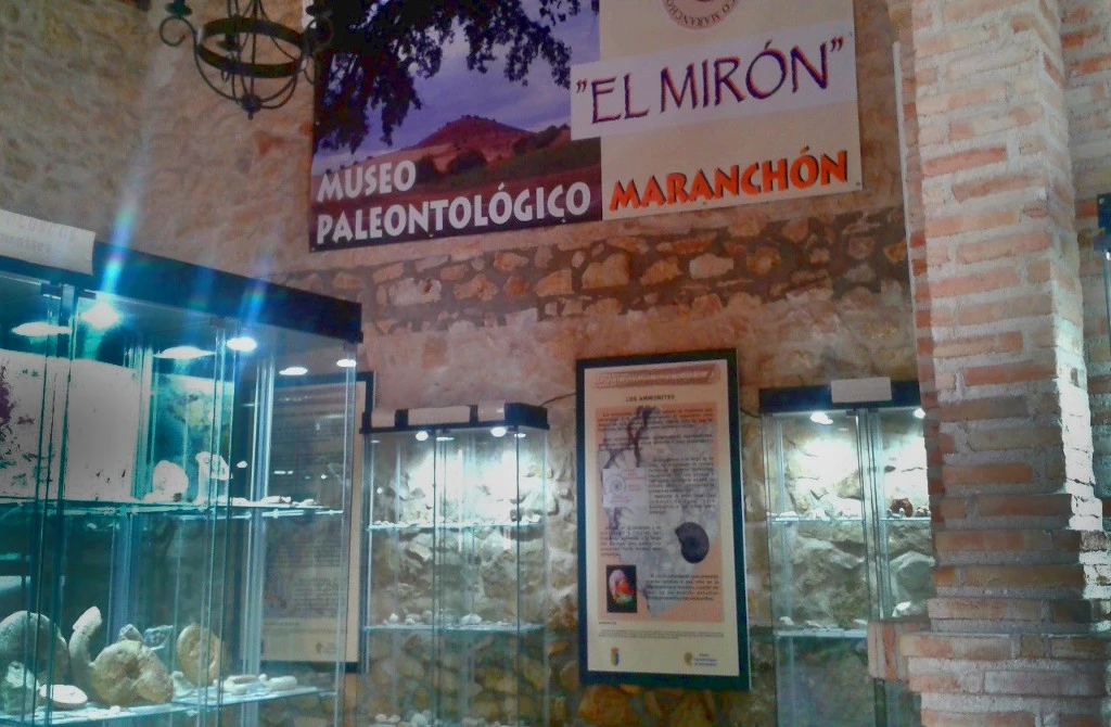 Museo Paleontológico «El Mirón»