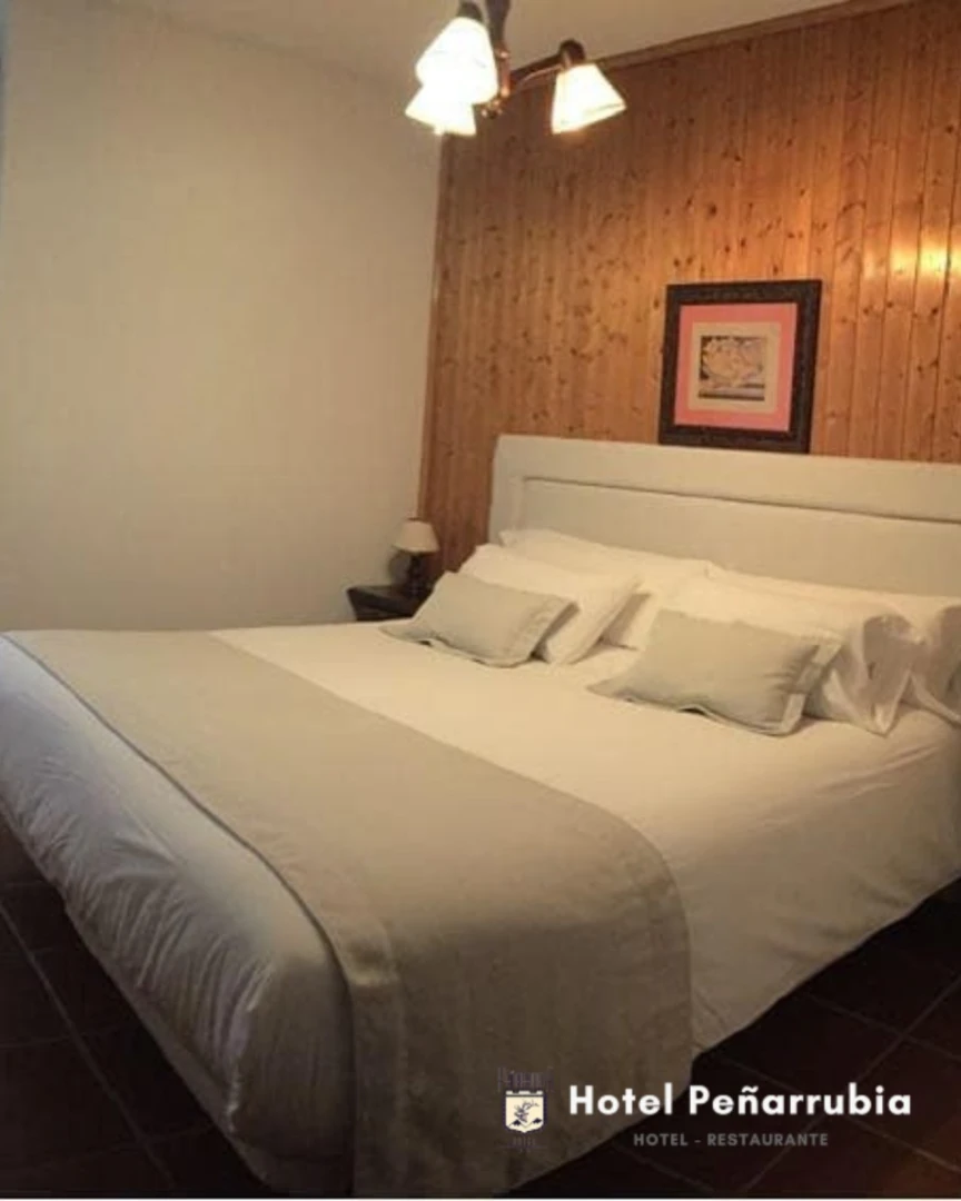 Hotel Peñarrubia
