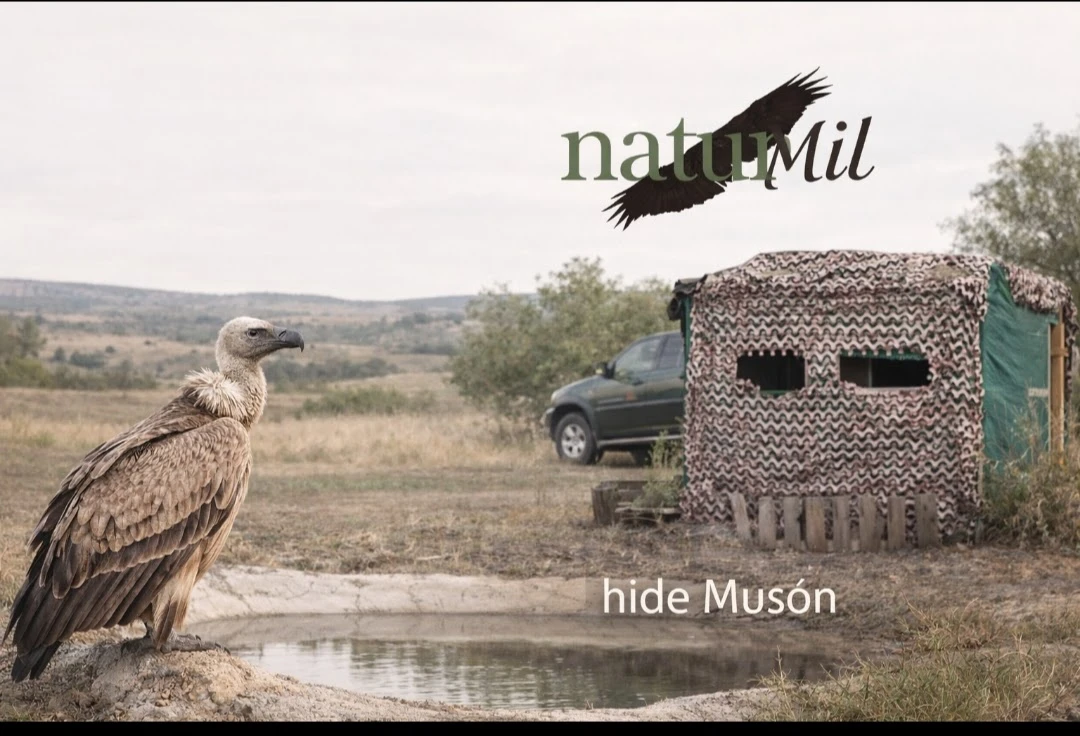 naturaMil