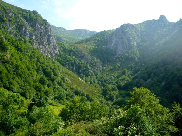 Ruta del Tabayón del Mongayu (PR-AS 60)