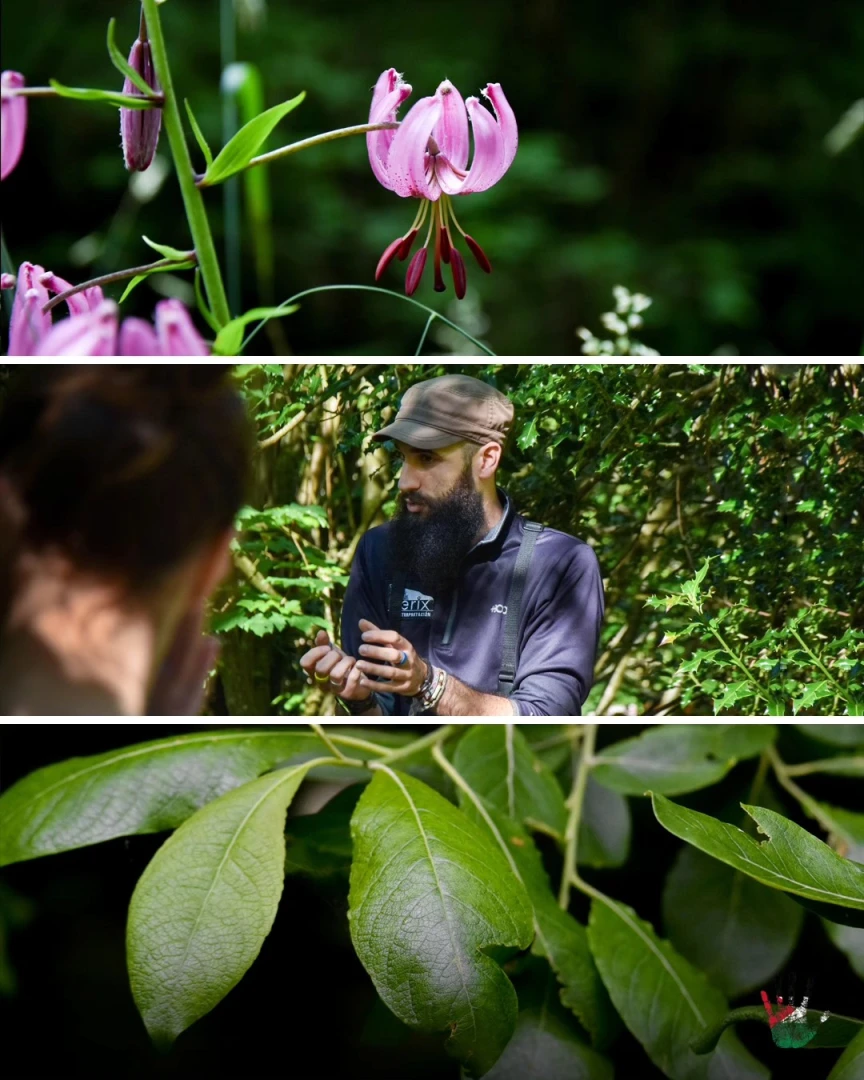 TERIX Biointerpretación