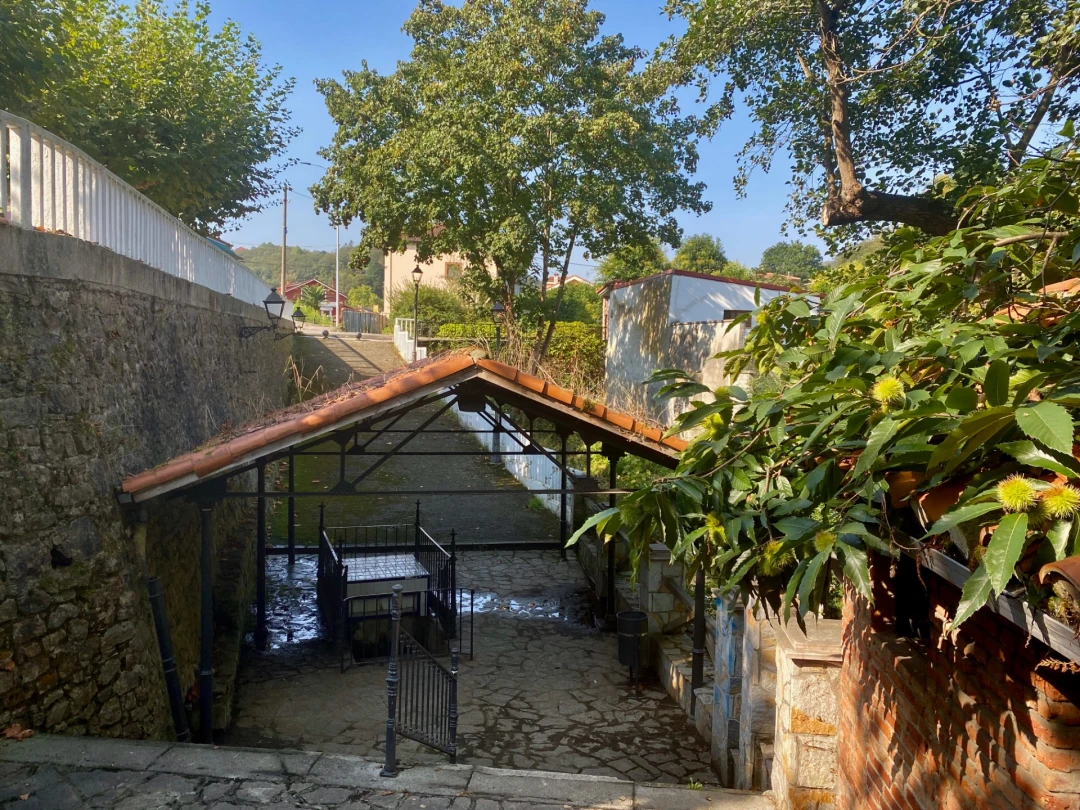 Fuente y Balneario de Lada