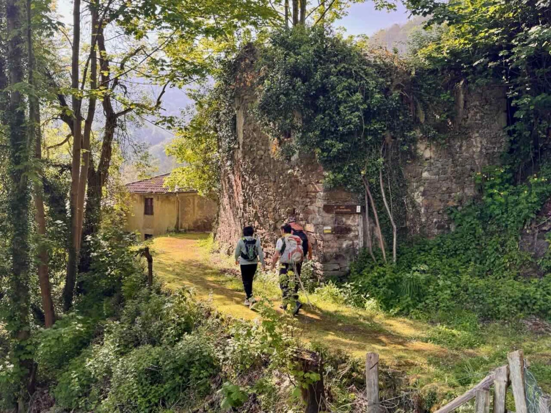 GR® 311: Etapa 1. Ecomuseo Minero de Samuño – Entrialgo