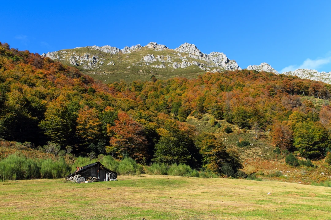 GR® 311: Etapa 5. Brañagallones – Puerto de Tarna