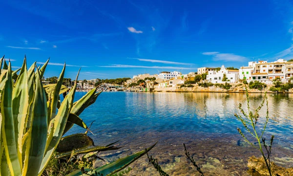 Portopetro