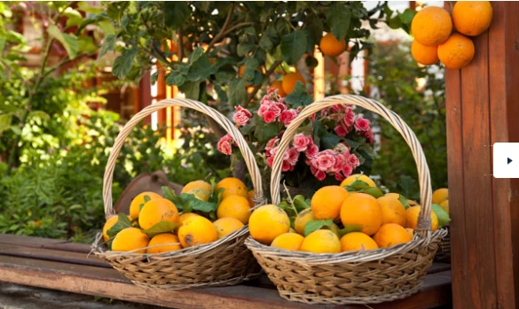 Mercados de Santanyí