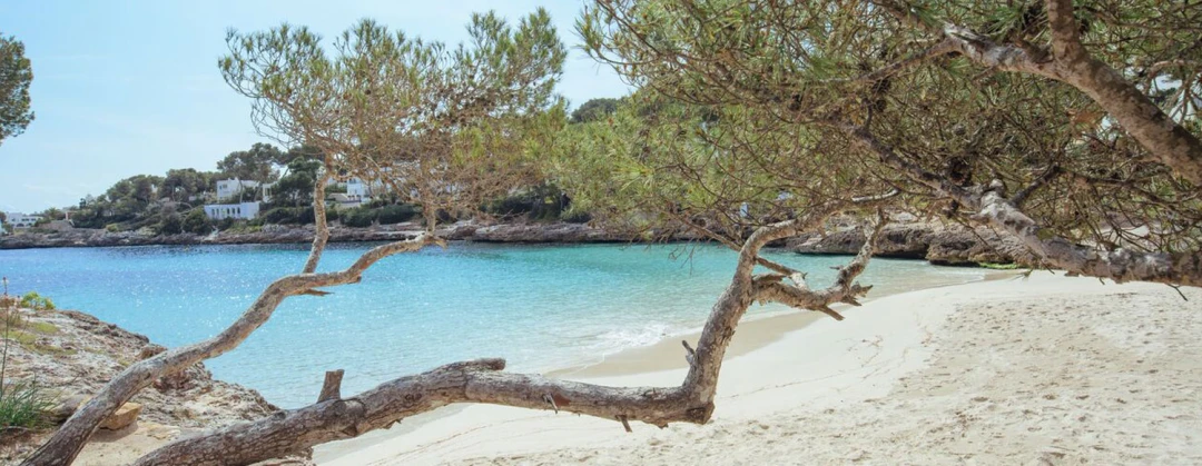 Cala D’or