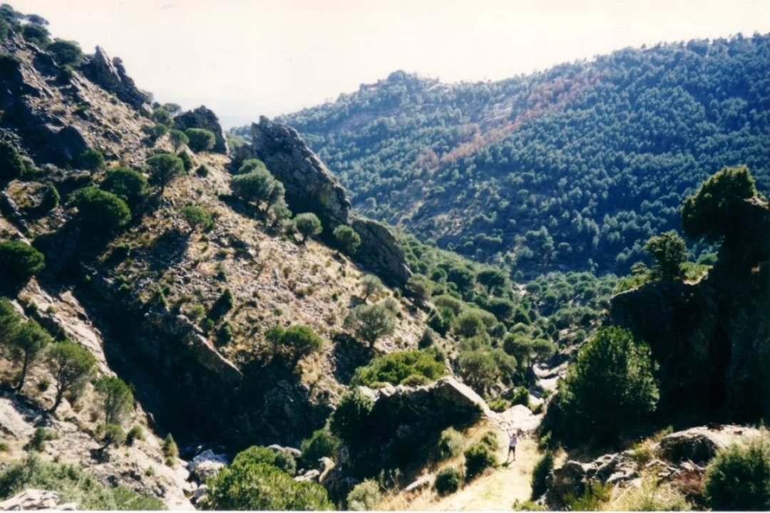 RUTA PRC 6 El Valle-Los Brajales