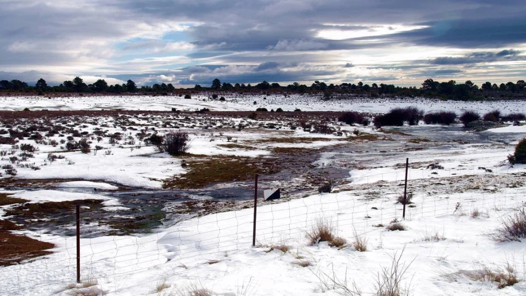 RUTA PRC 6 El Valle-Los Brajales