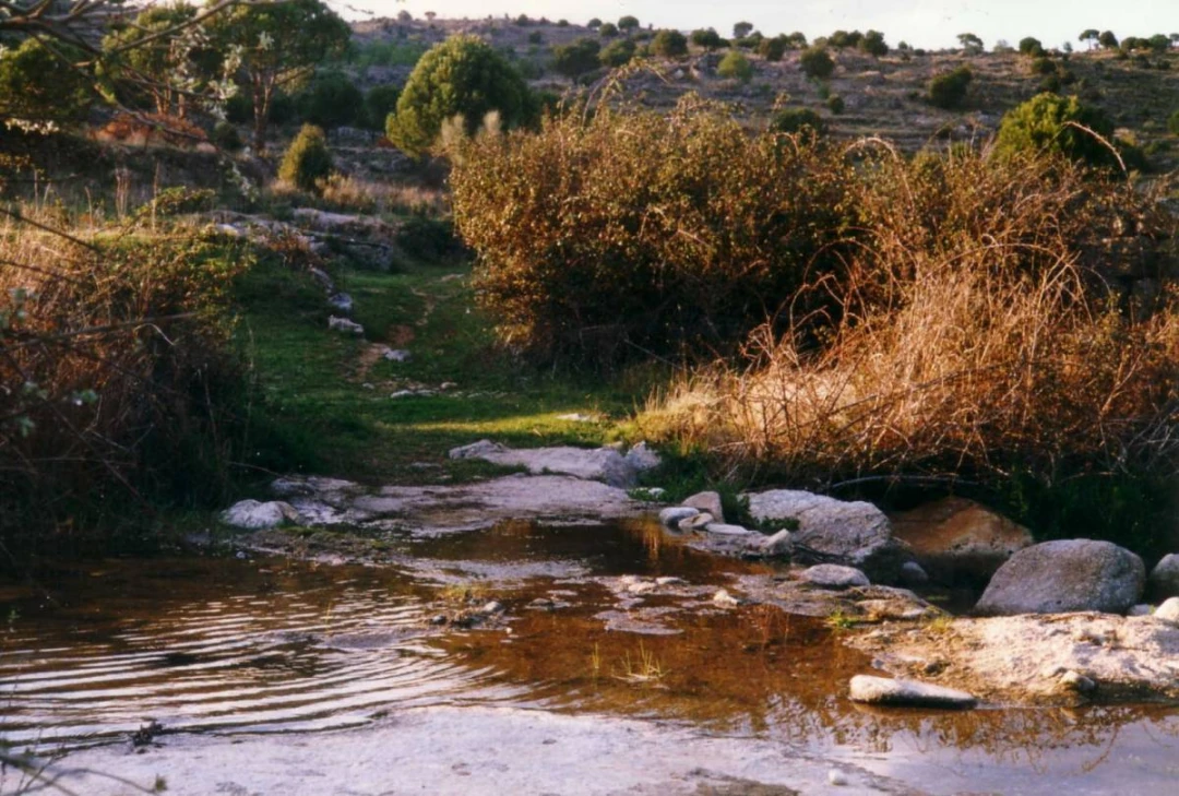 RUTA PRC 7 El Pimiento-La umbría
