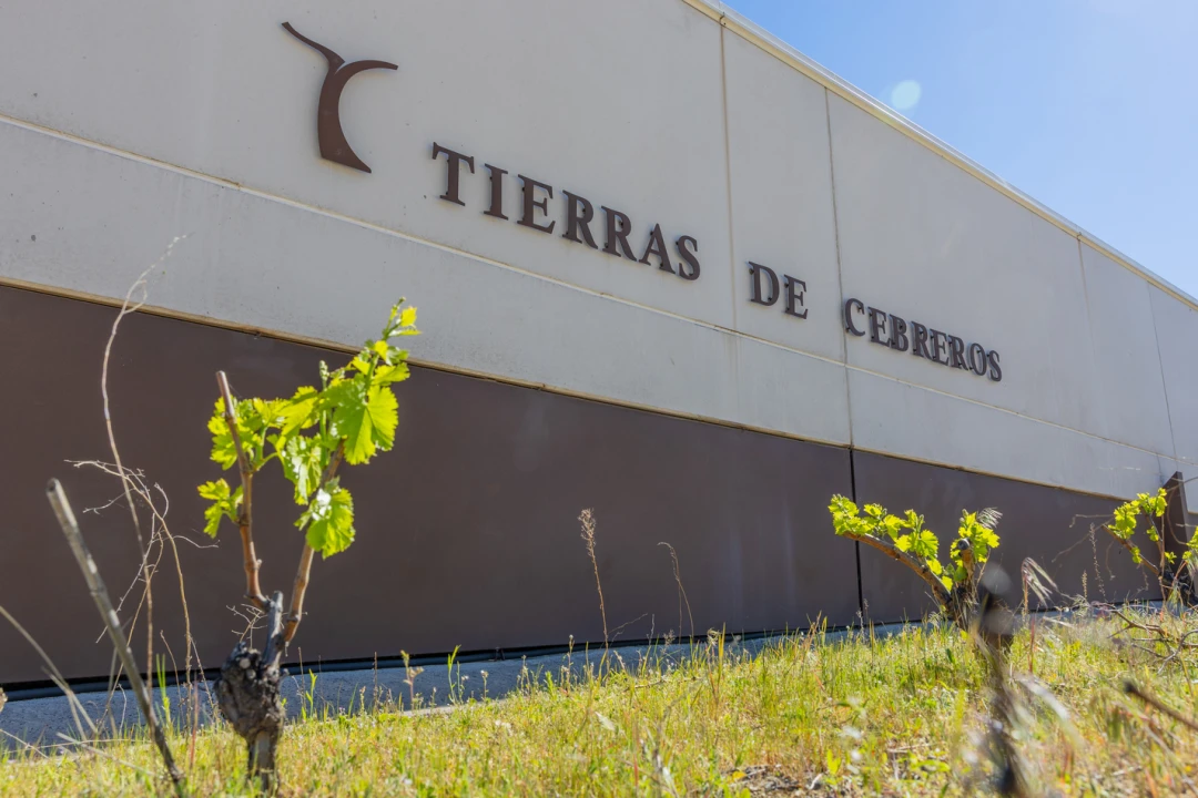 Tierras de Cebreros