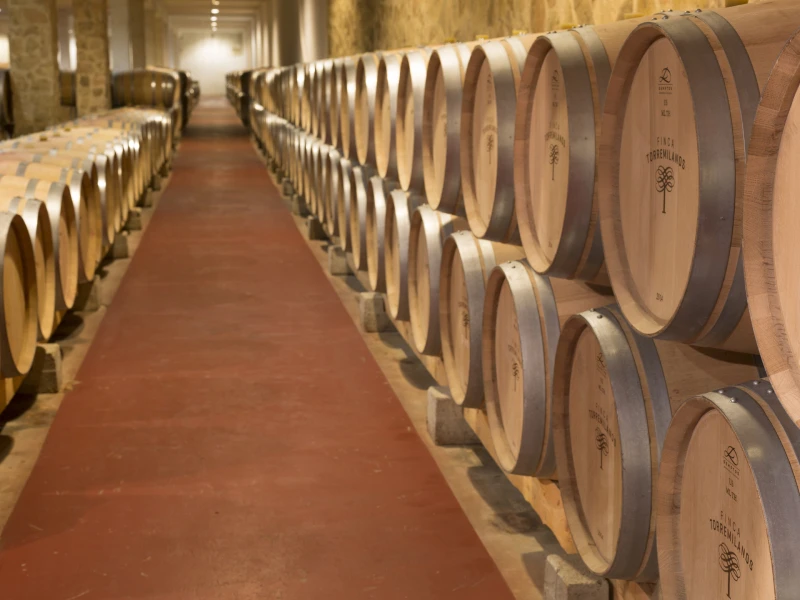 Finca Torremilanos