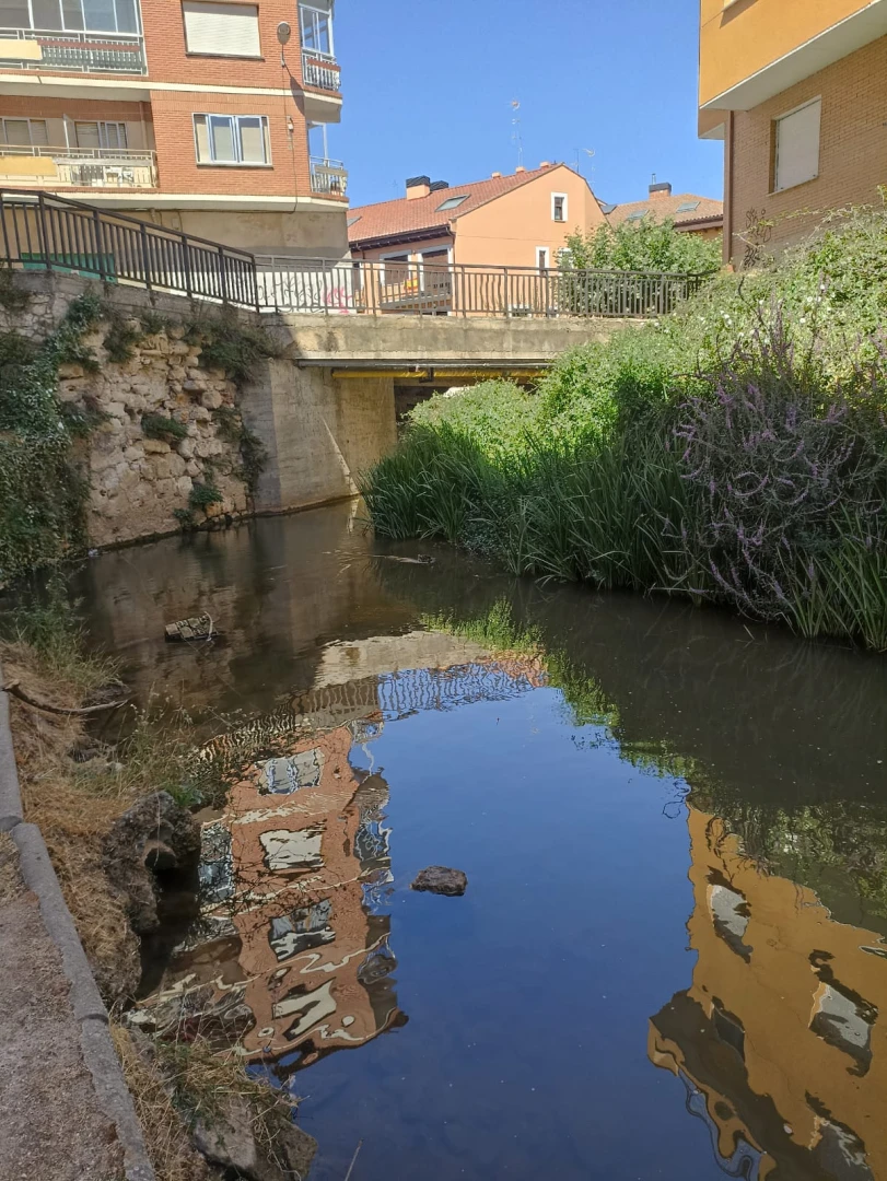 Puente de Fuenteminaya