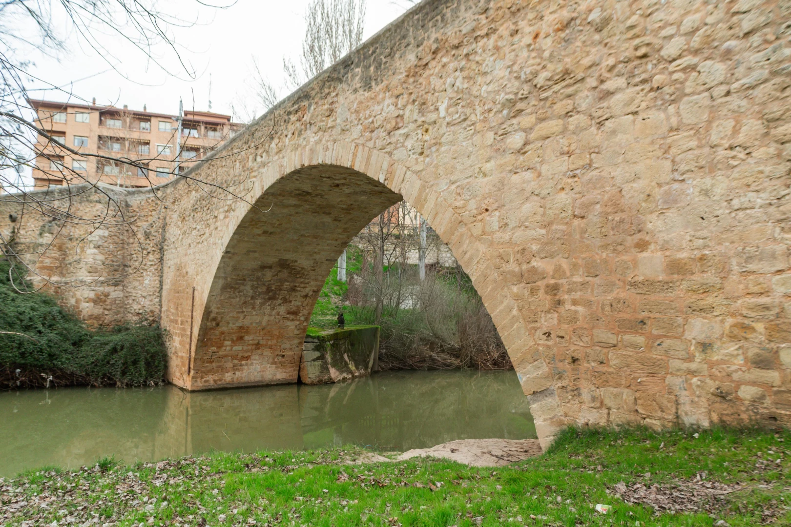 Puente Conchuela