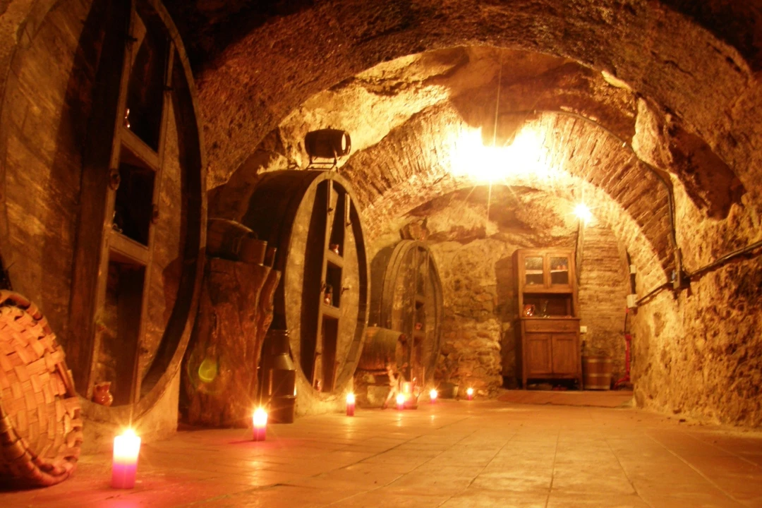 Bodega Don Carlos