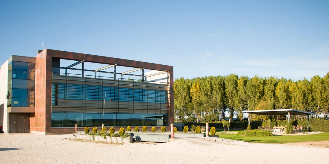 Bodegas y Viñedos Martín Berdugo