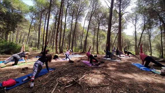 Yoga en la Naturaleza