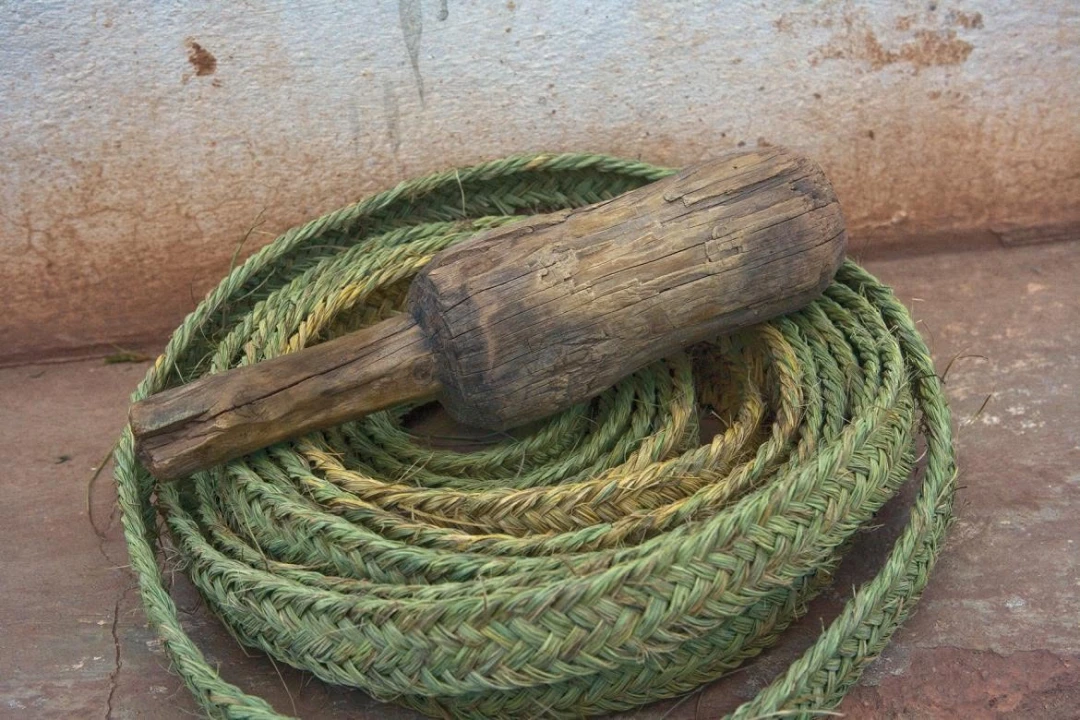 Tradición de Esparto