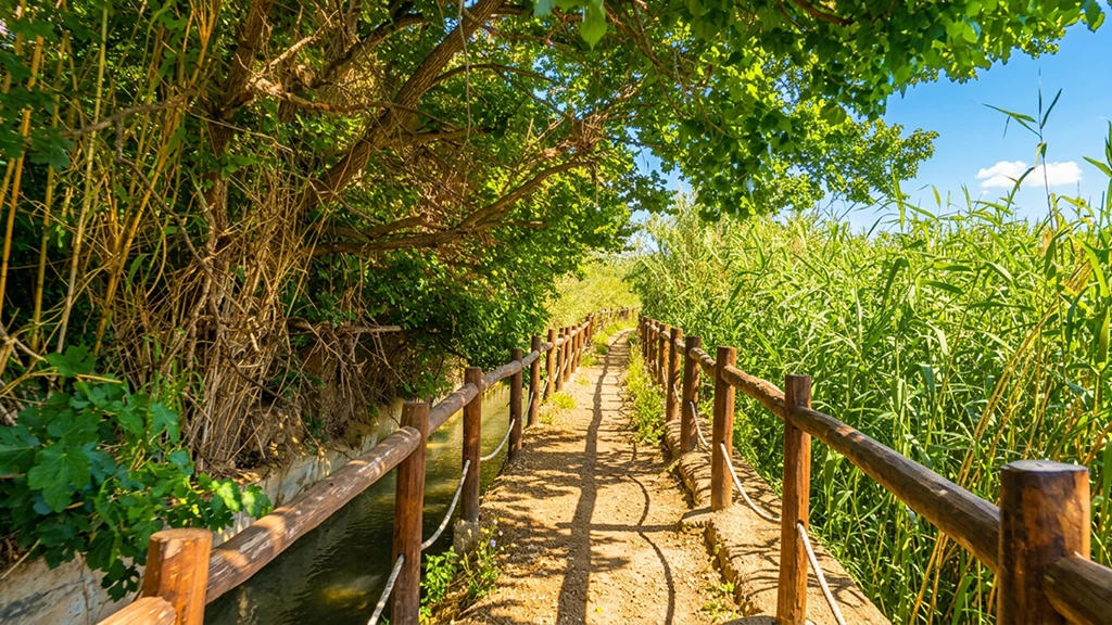 Historia de las acequias
