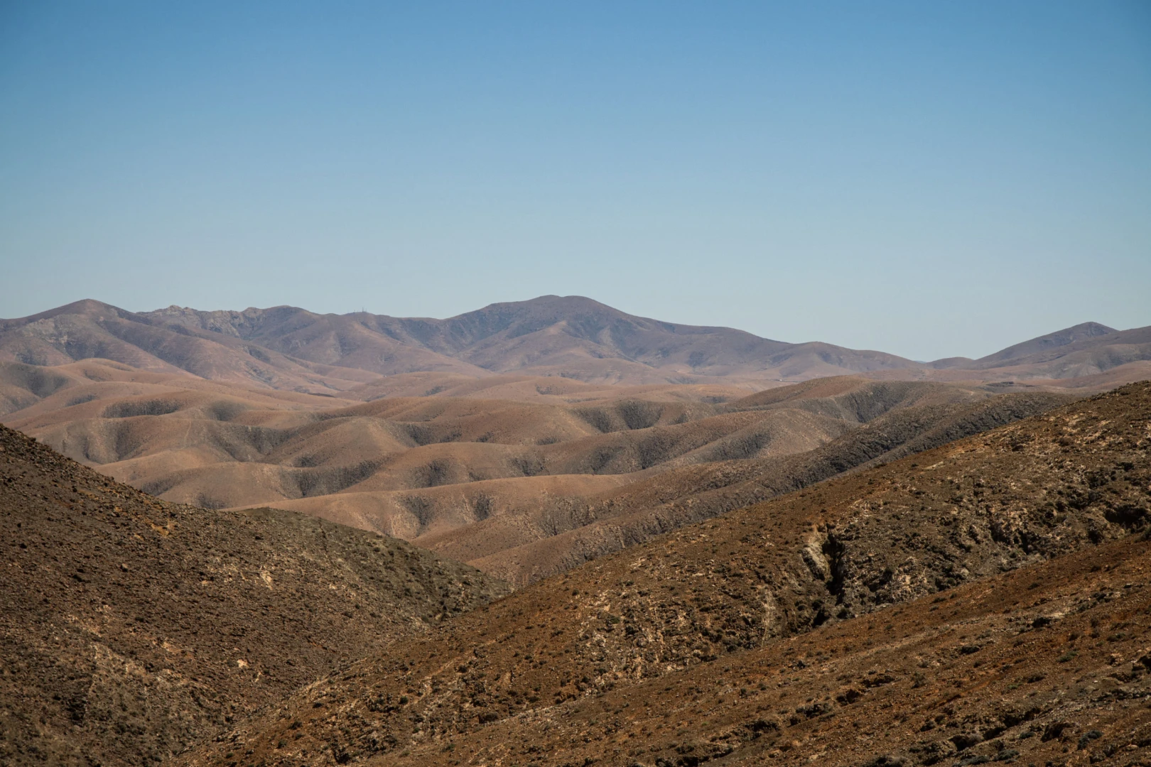 Montaña de Cardón