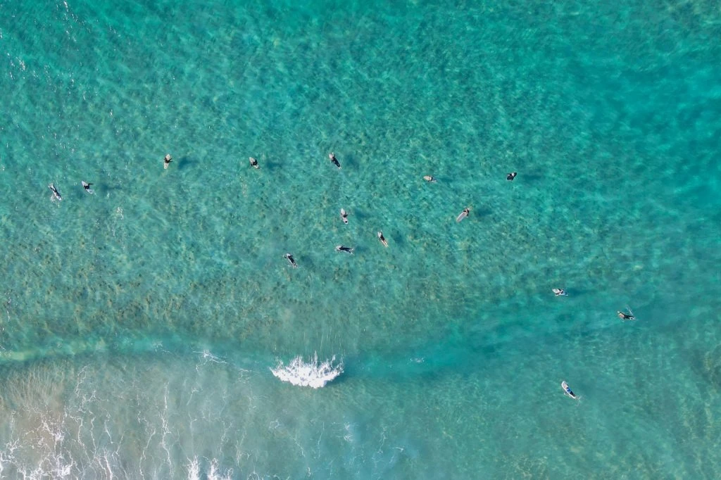 Surf & Bodyboard