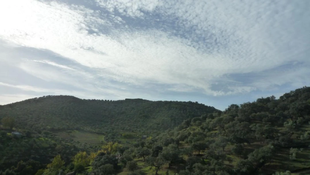 Aroche-Cortegana