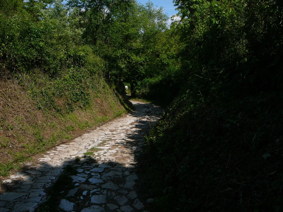 Fuenteheridos - Garloza - Castaño