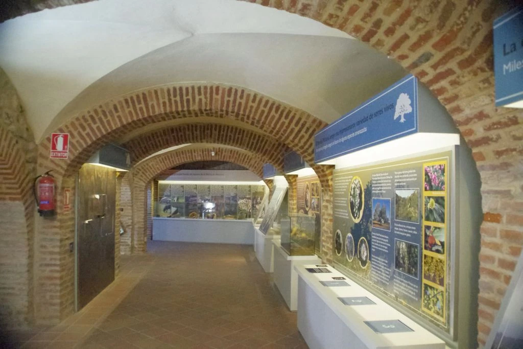 Centro de Interpretación del Parque Natural. Cabildo Viejo