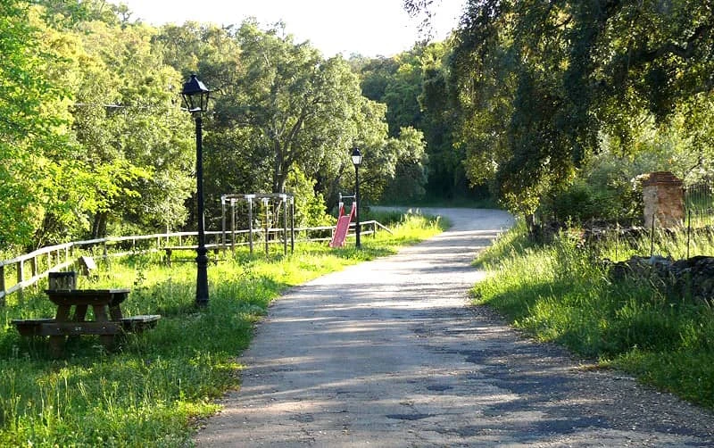 Paseo Pinichi