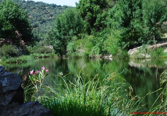 Arroyo del Sillo