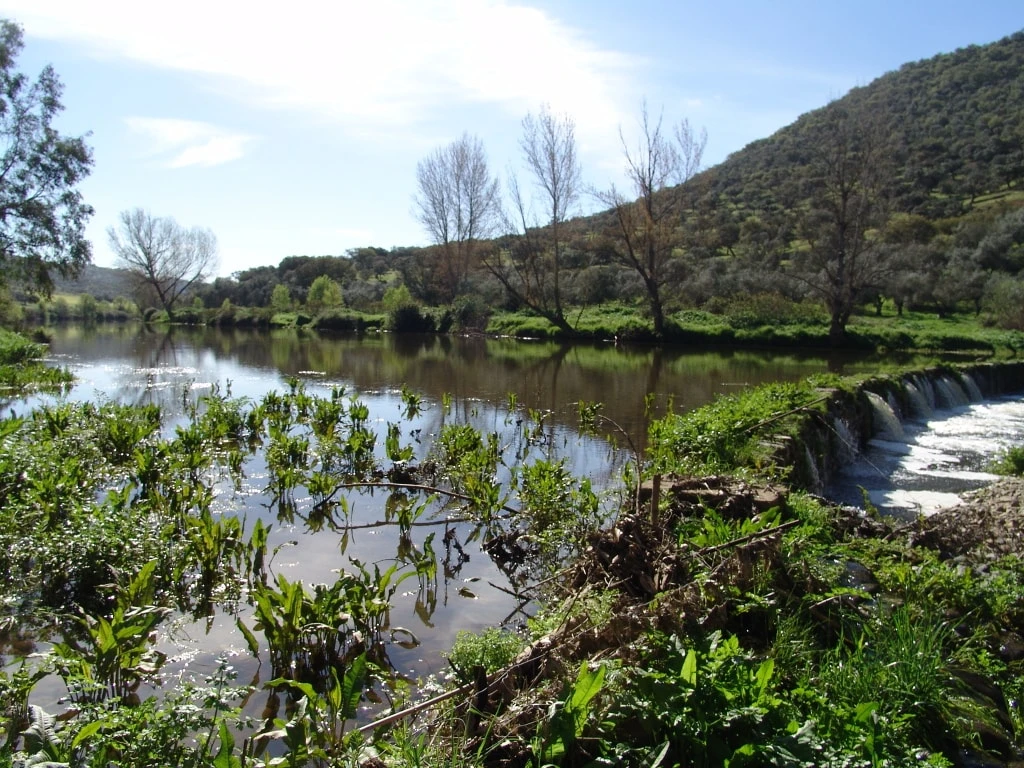 Valle del Río Múrtigas