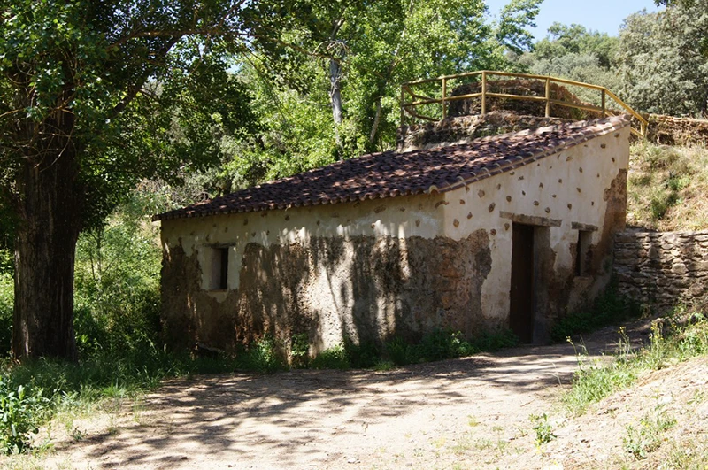 Los molinos arineros