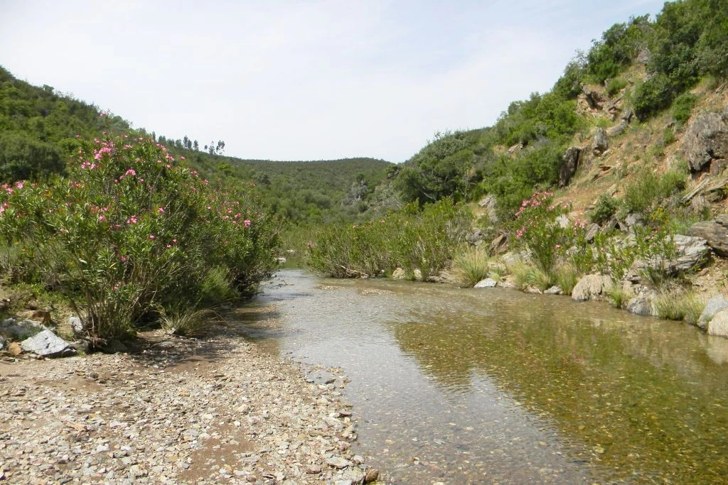 Paraje Natural de Sierra Pelada y Rivera del Aserrador