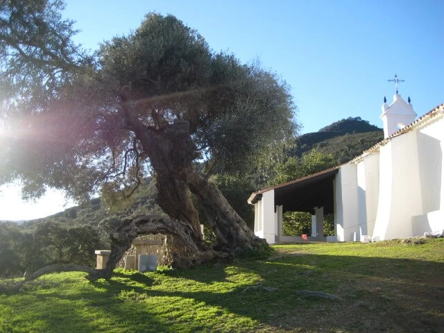 Ermita de Nuestra Sra. del Puerto