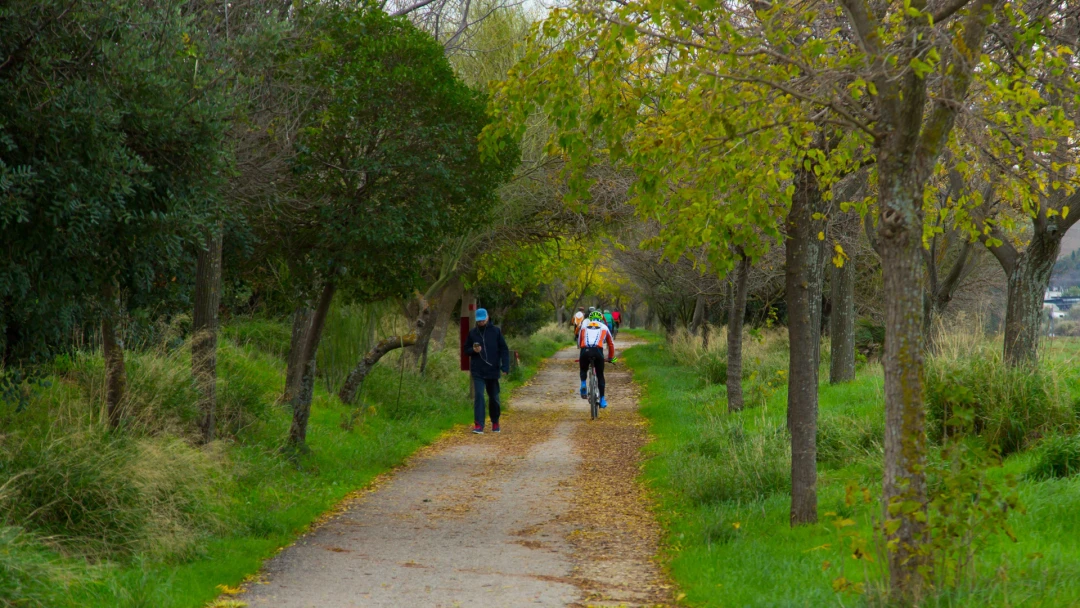 Vía Verde de la Campiña