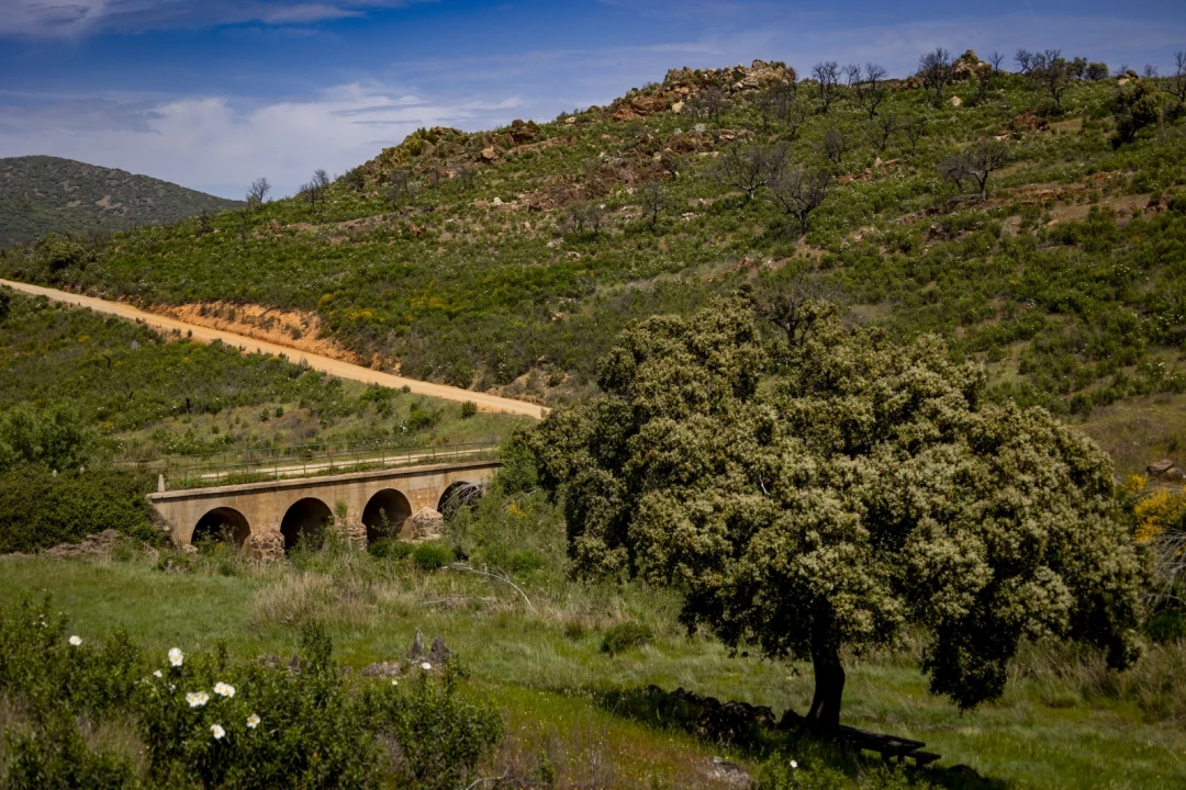 Camino de Guadalupe Etapa 2: Espinoso del Rey - Buenasbodas
