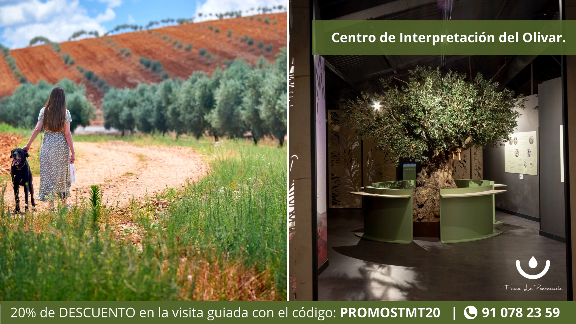 Finca La Pontezuela