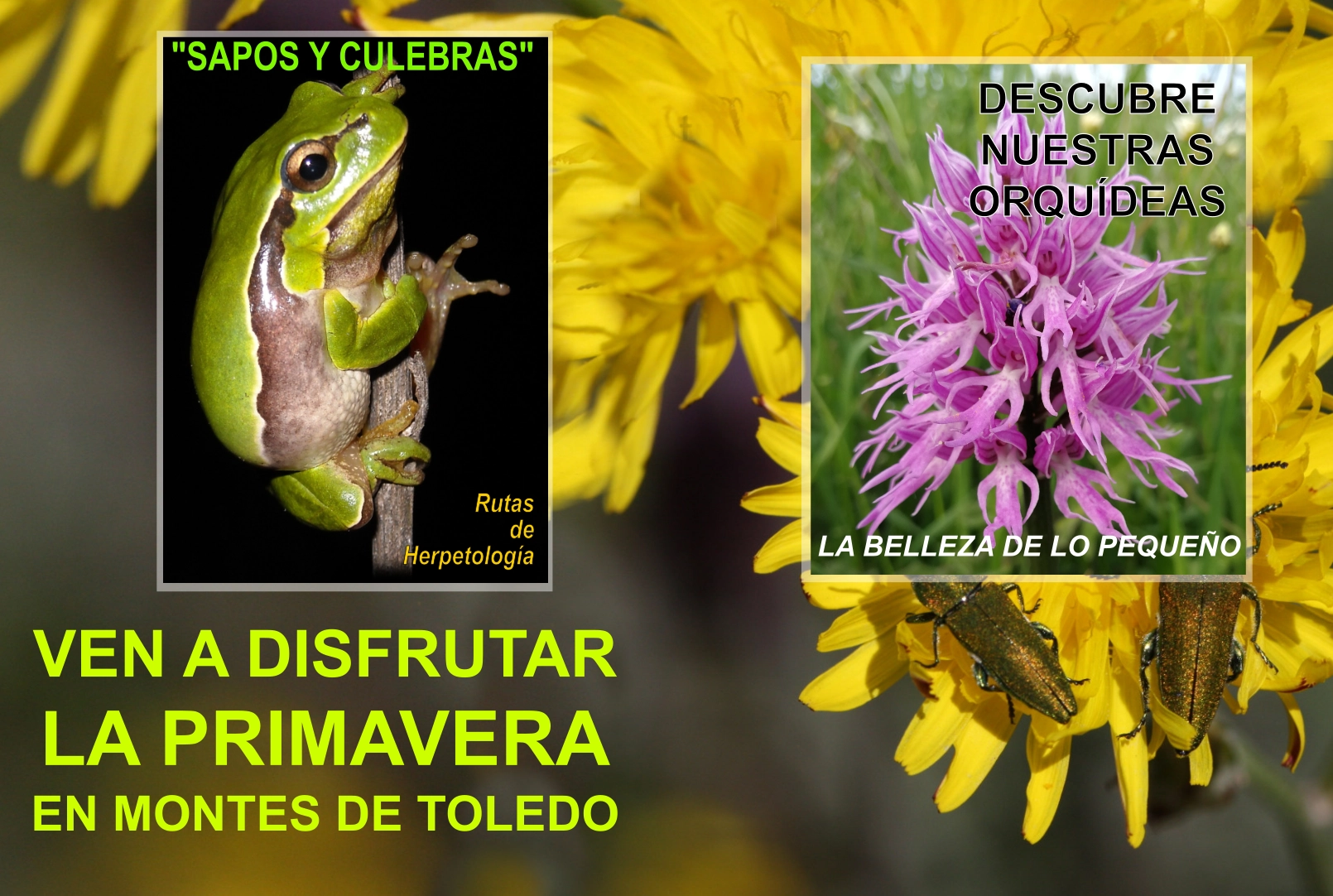 Naturexplora