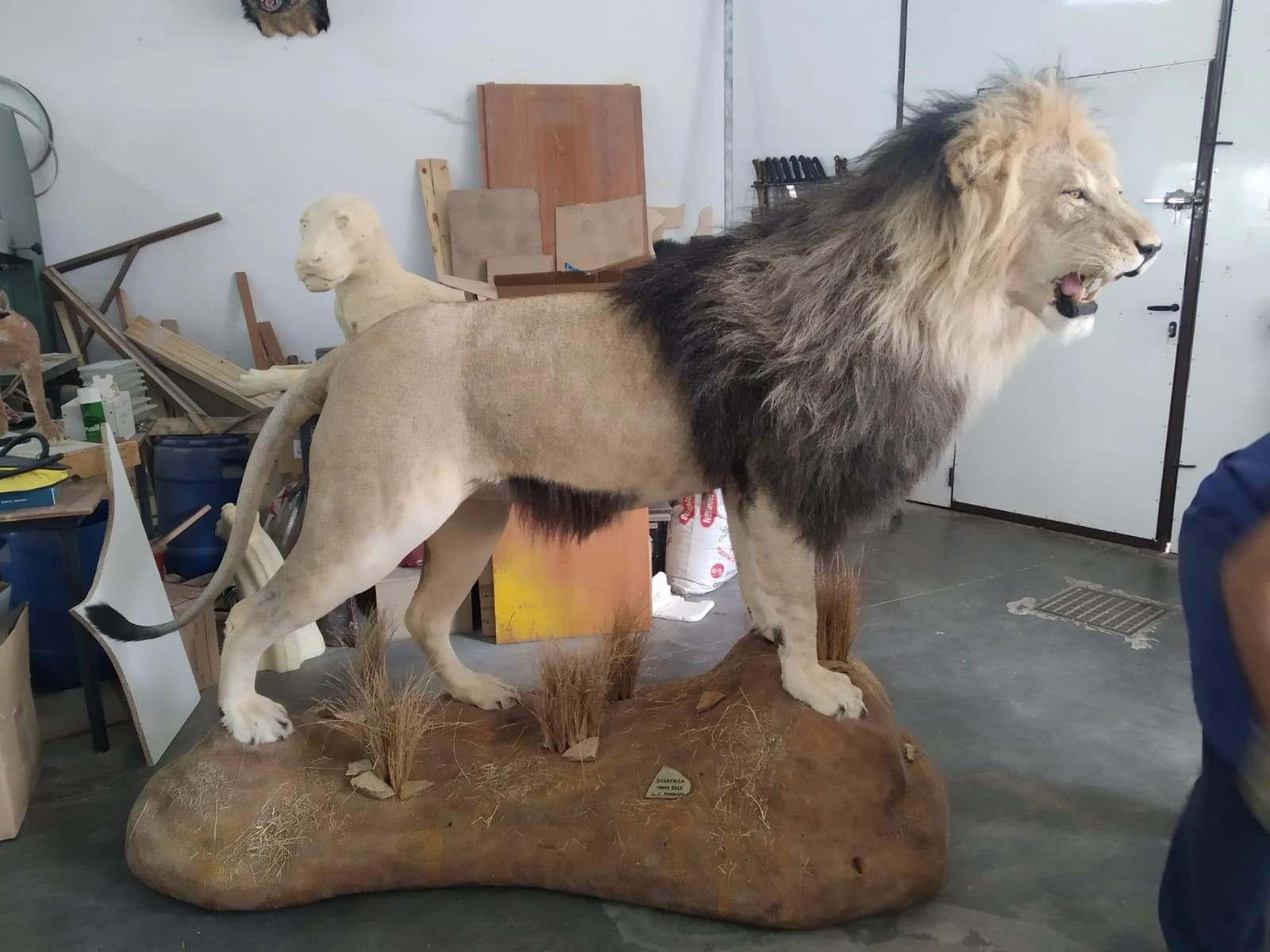 Marroquinería, cantería, cuero, forja y taxidermia