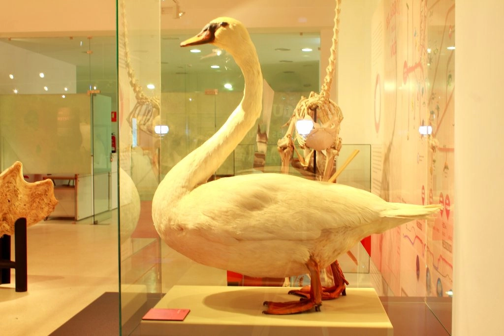 Museo de Ciencias Naturales