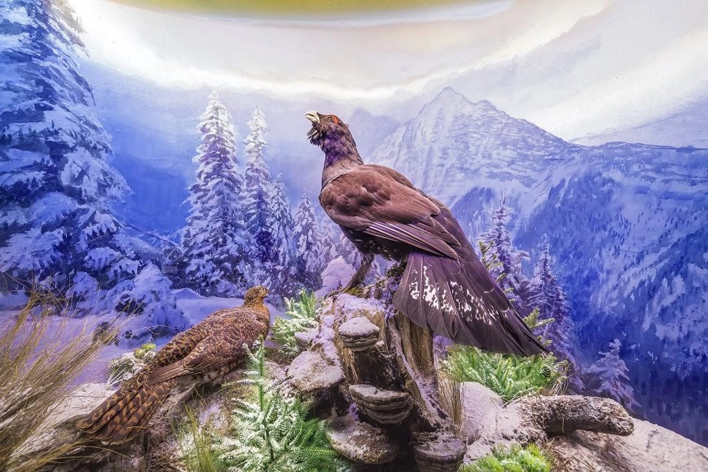 Museo de la Caza y la Naturaleza