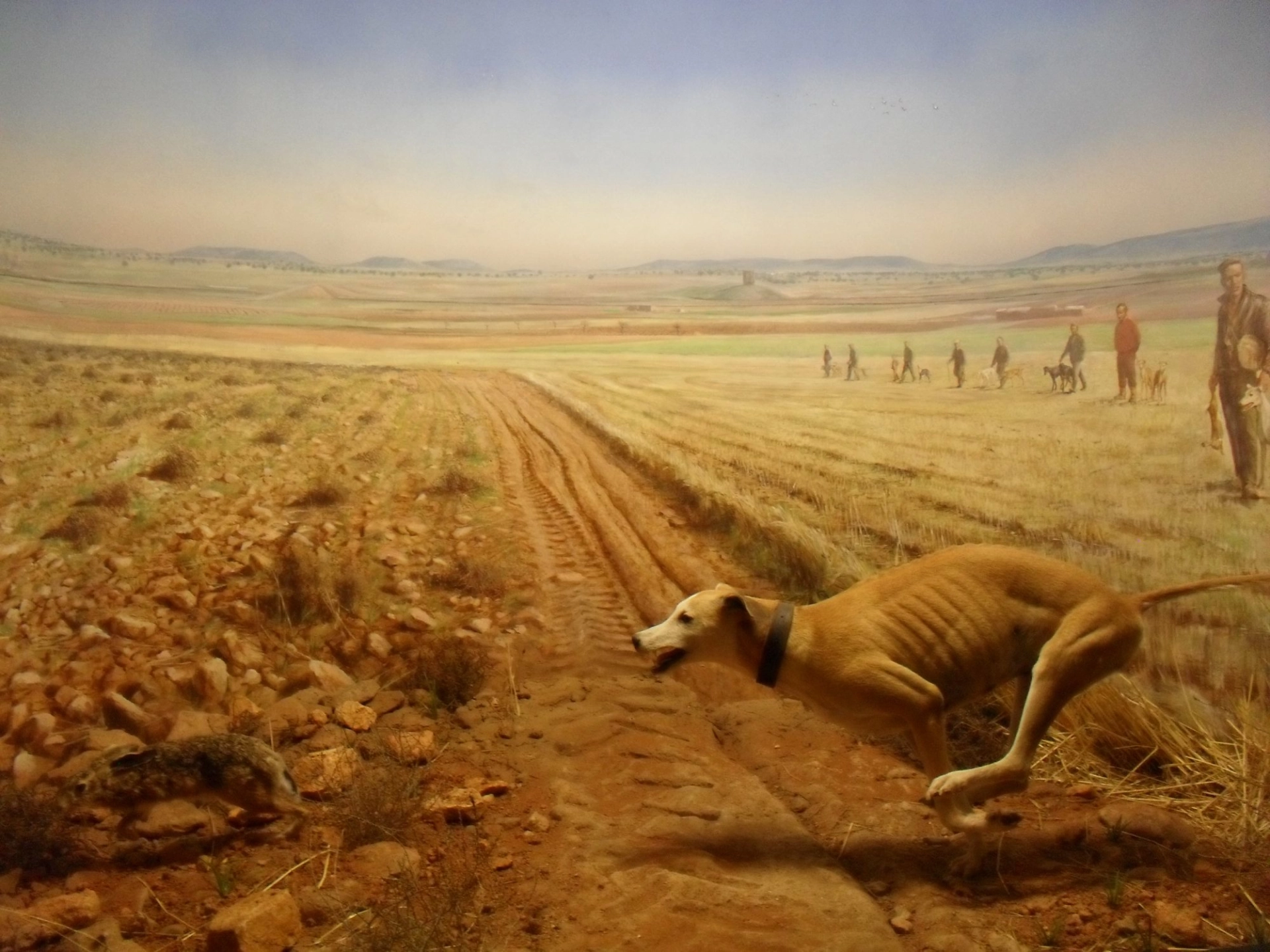 Museo de la Caza y la Naturaleza
