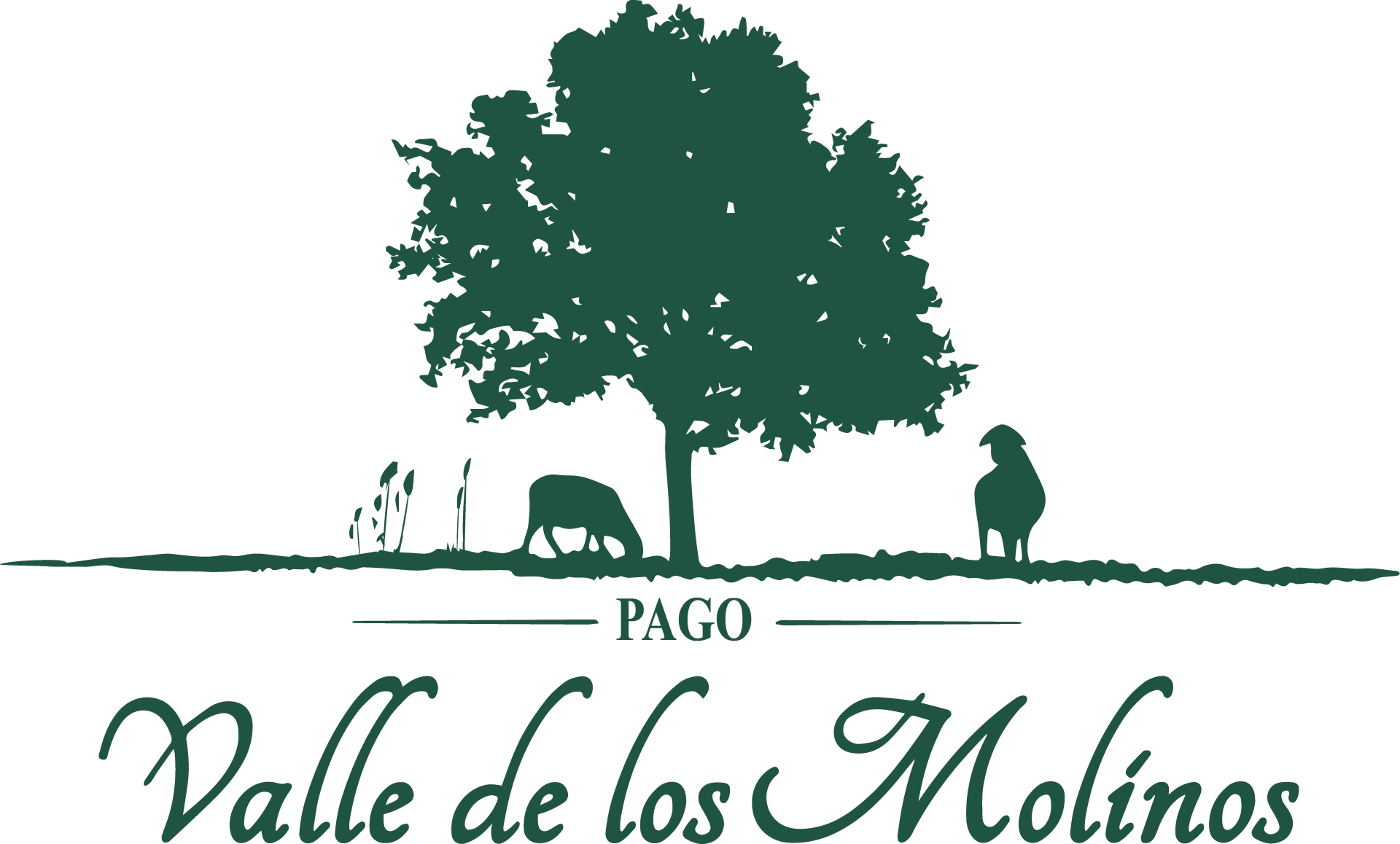 Quesos Valle de los Molinos