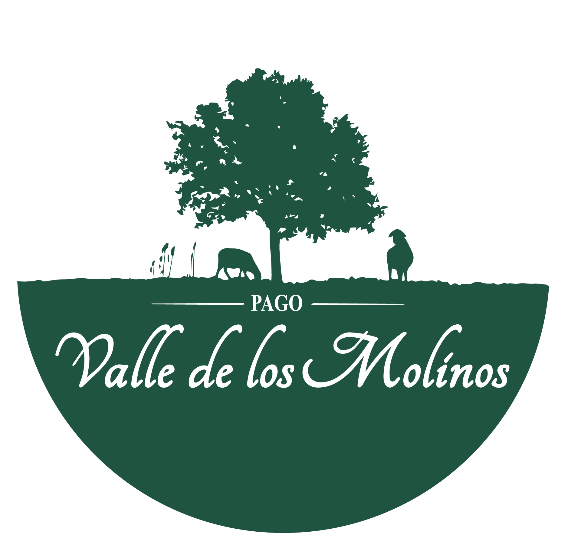 Quesos Valle de los Molinos