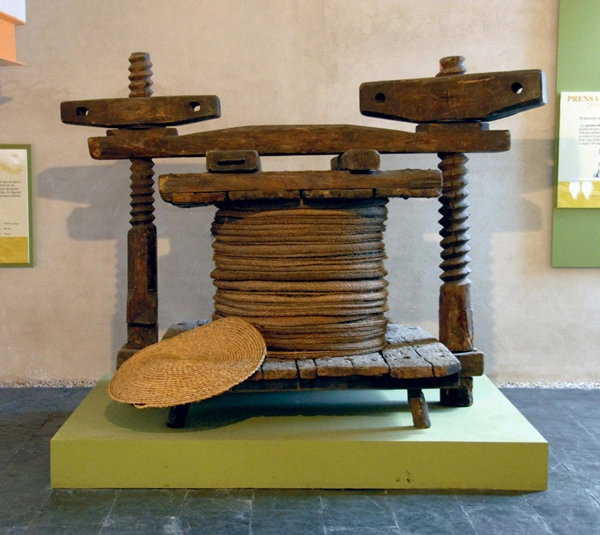 Museo del Aceite "Felipe Vegue"