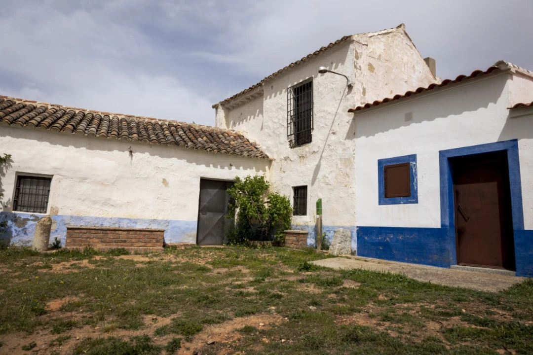 Casas de la Solana